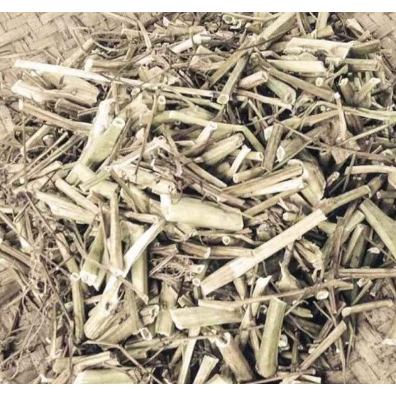 

Jual ciplukan atau cecenet daun ranting kering 1 kg