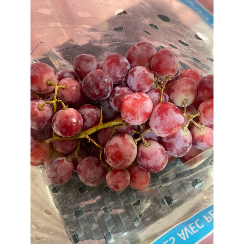 

buah anggur merah red globe australia fresh import 1kg