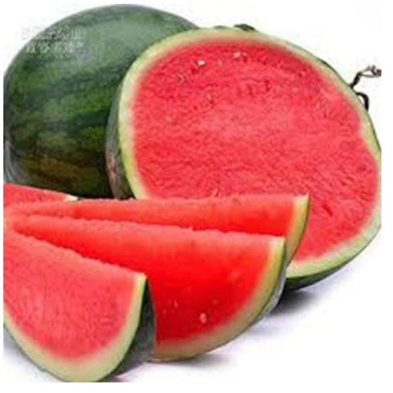 

Buah Semangka Merah Non/Tanpa Biji ±2kg Manis Fresh Segar Promo Termurah Hemat Harga Terjangkau