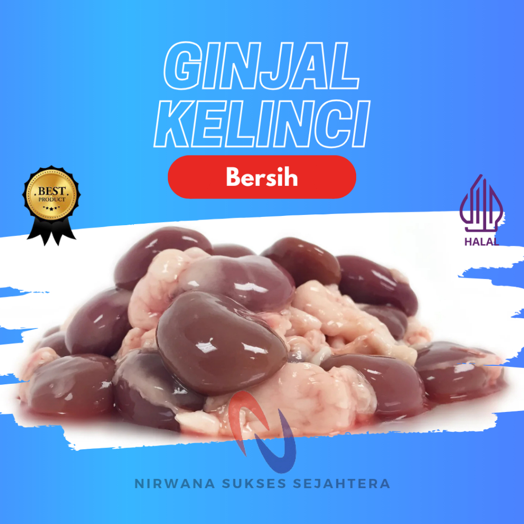 

GINJAL KELINCI BERSIH / RABBIT KIDNEYS
