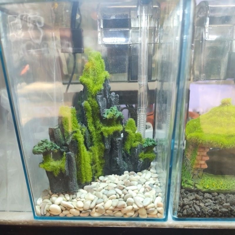 Paket Mini Aquascape komplit Aquarium buat cupang mas koki ikan guppy molly chana