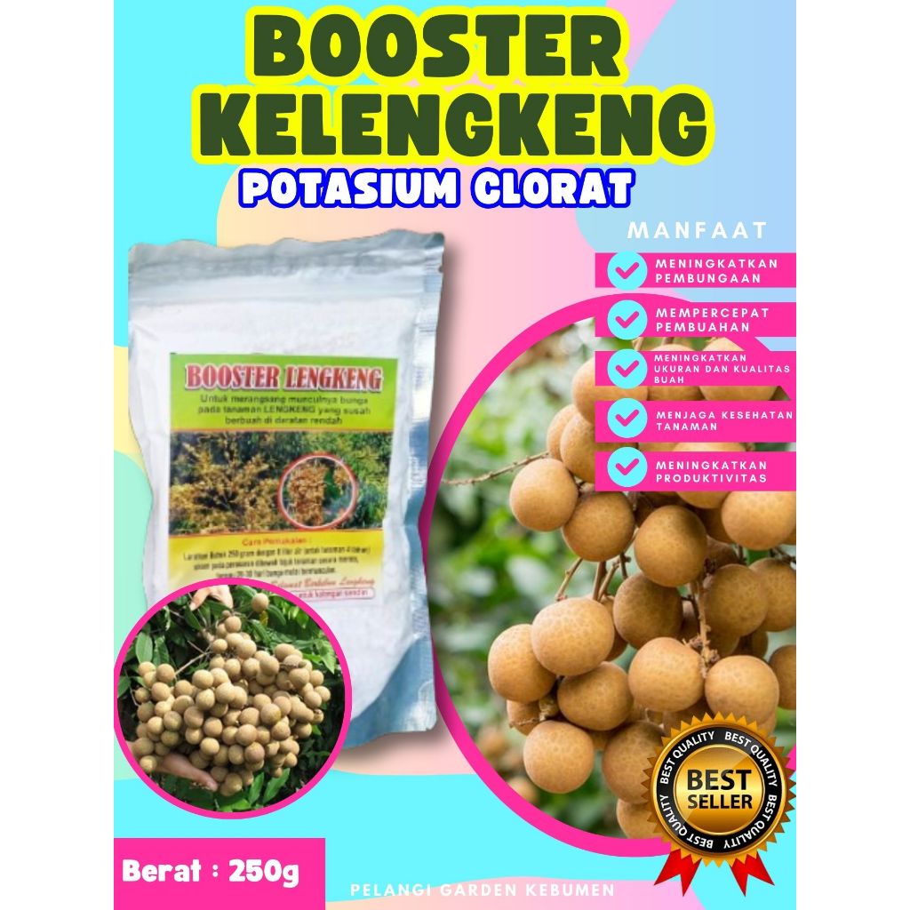 TERBAIK  Booster Kelengkeng Bubuk, Booster Kelengkeng Berbuah, Booster Kelengkeng Berbunga