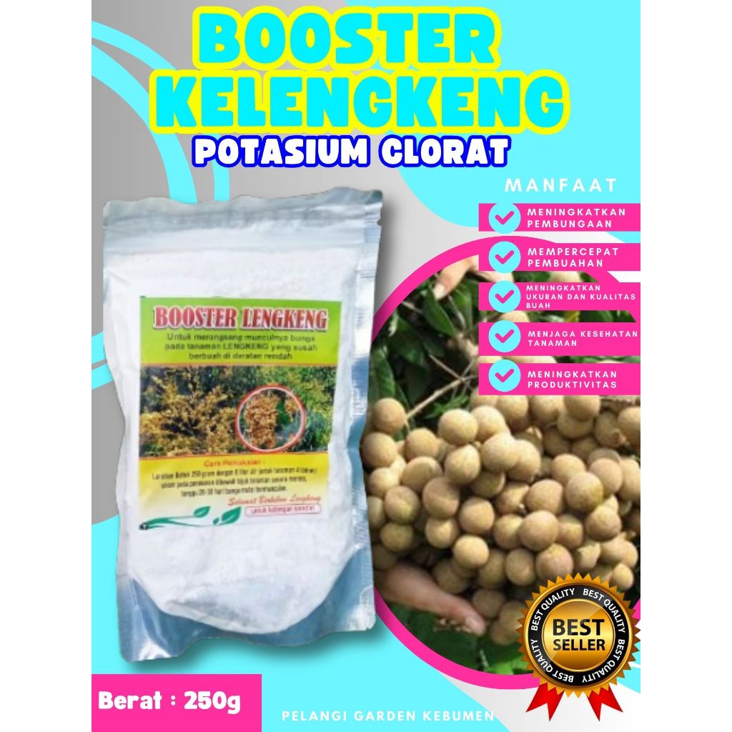 TERLARIS  Booster Kelengkeng Murni 1Kg, Booster Kelengkeng Merah, Booster Kelengkeng Matalada Berbua
