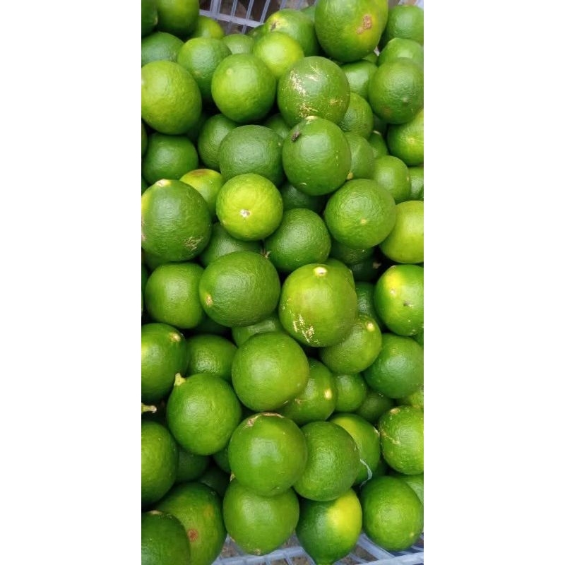 

Jeruk Nipis 1kg