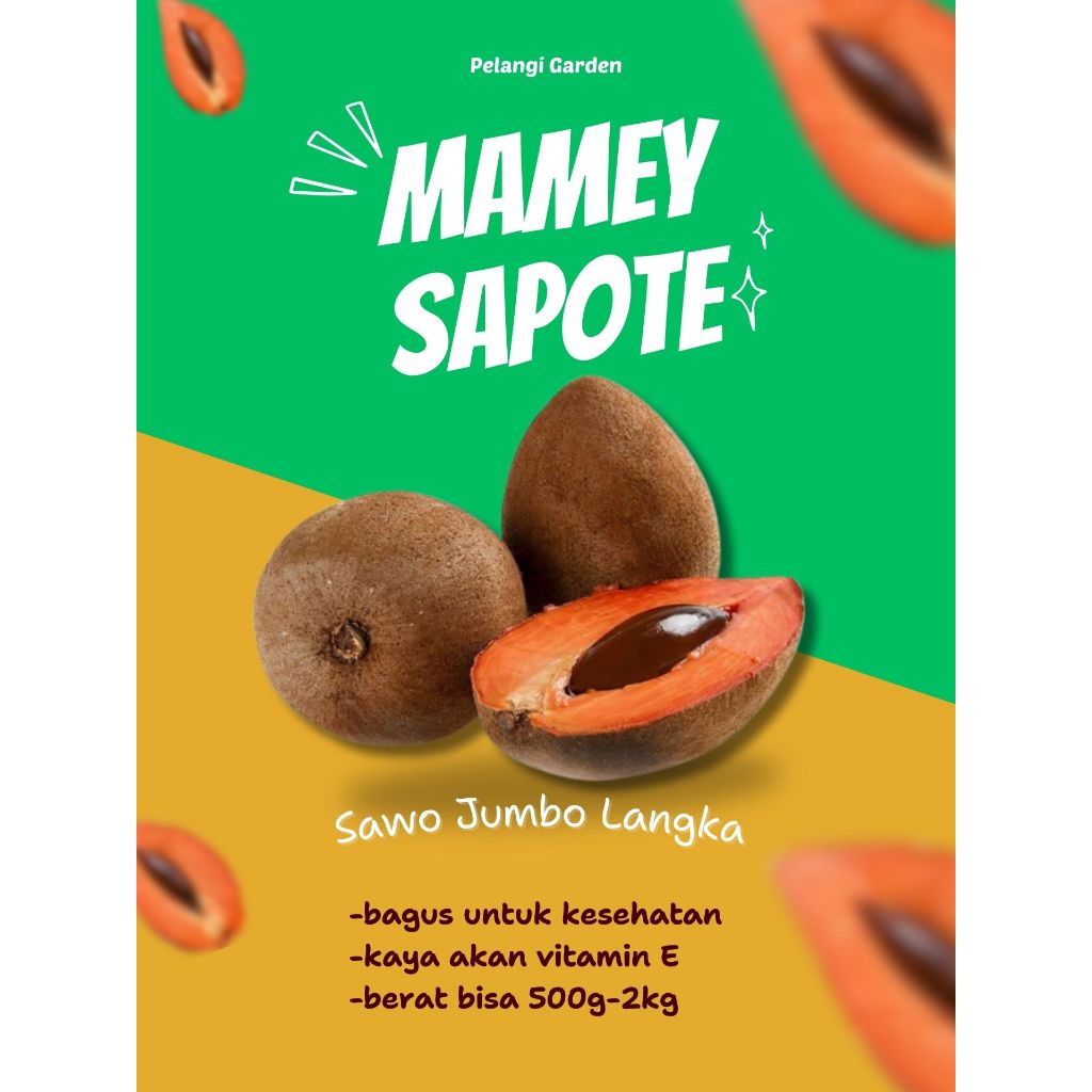 

LANGKA !! Sawo Jumbo Original