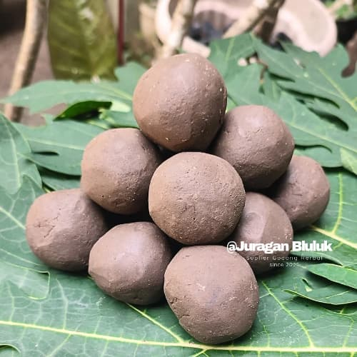 

2KG Isi 50 Biji Ampo Tanah Liat Penghilang Rasa Pahit Daun Pepaya Pare lempung