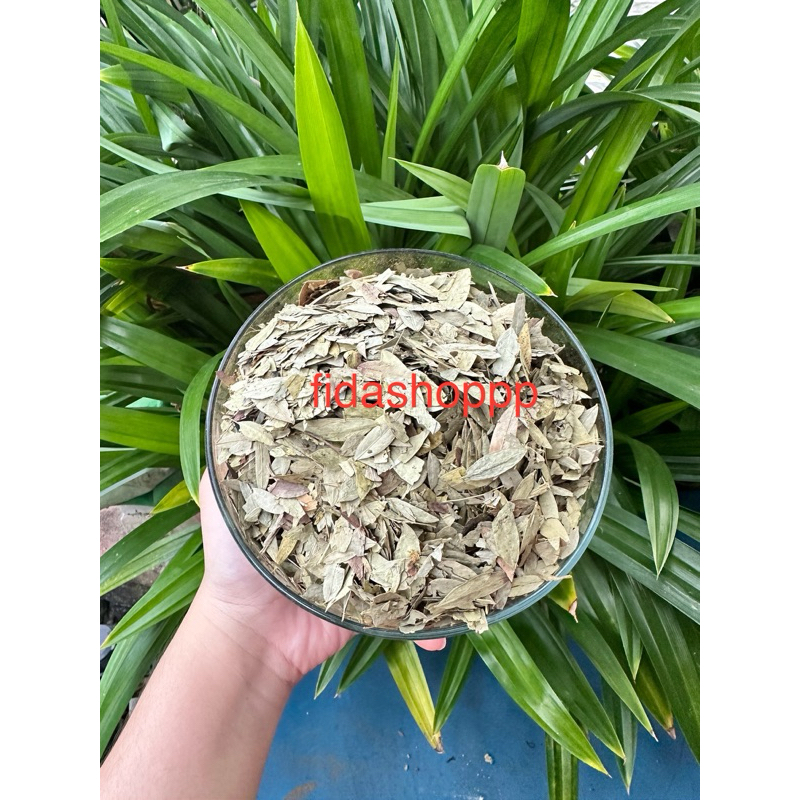 

Teh daun Jati Cina / Daun Senna Teh Herbal Pelangsing 1kg, 500gr, 250gr