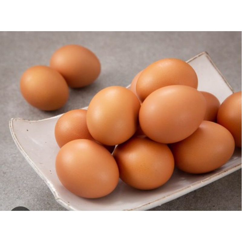 

TELUR AYAM NEGERI Fresh/Telur ayam negeri 2kg