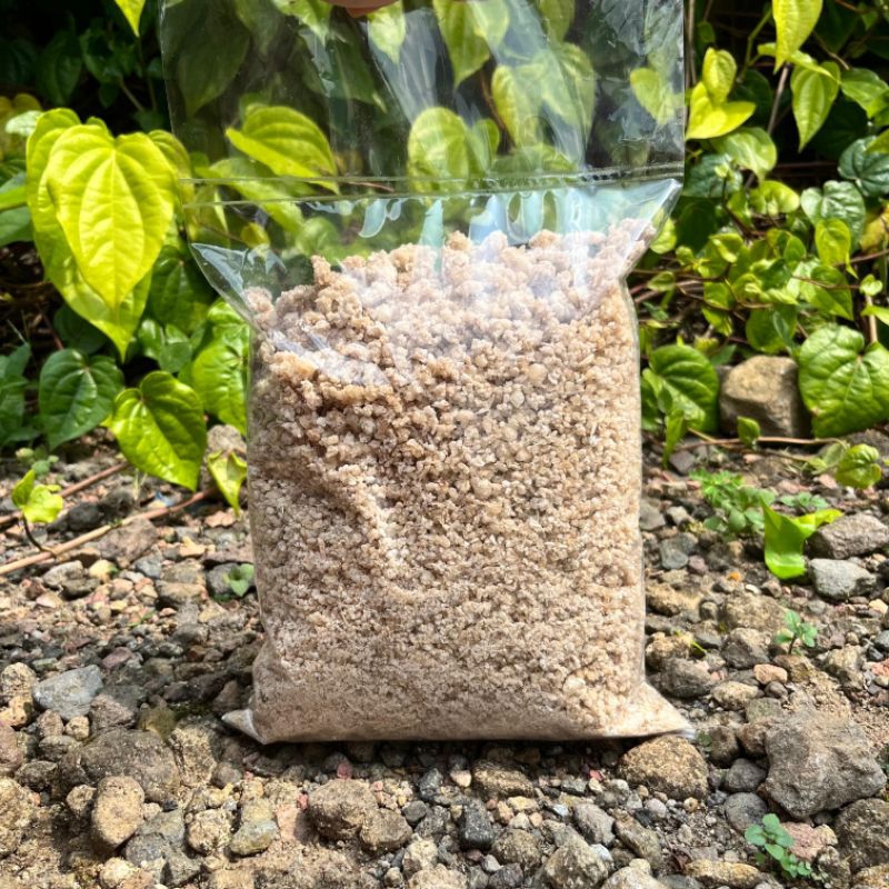 

Ygshop17 1Kg Nasi Tiwul Tnstan/Nasi Oyek Asli Singkong Alami 100% Organik