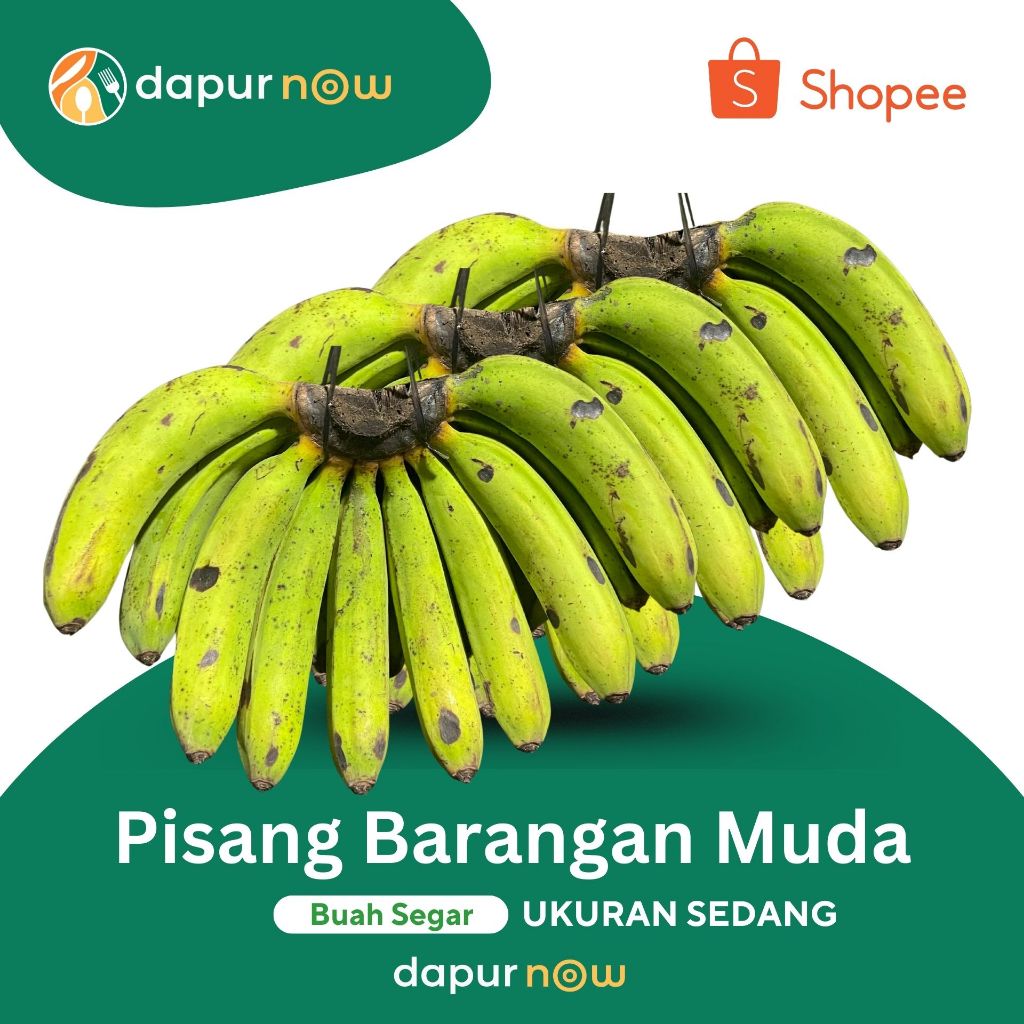 

PISANG BARANGAN MUDA UKURAN SEDANG 3 SISIR - BUAH SEGAR DAPURNOW