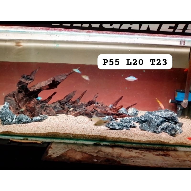 Hardscape kayu rentek