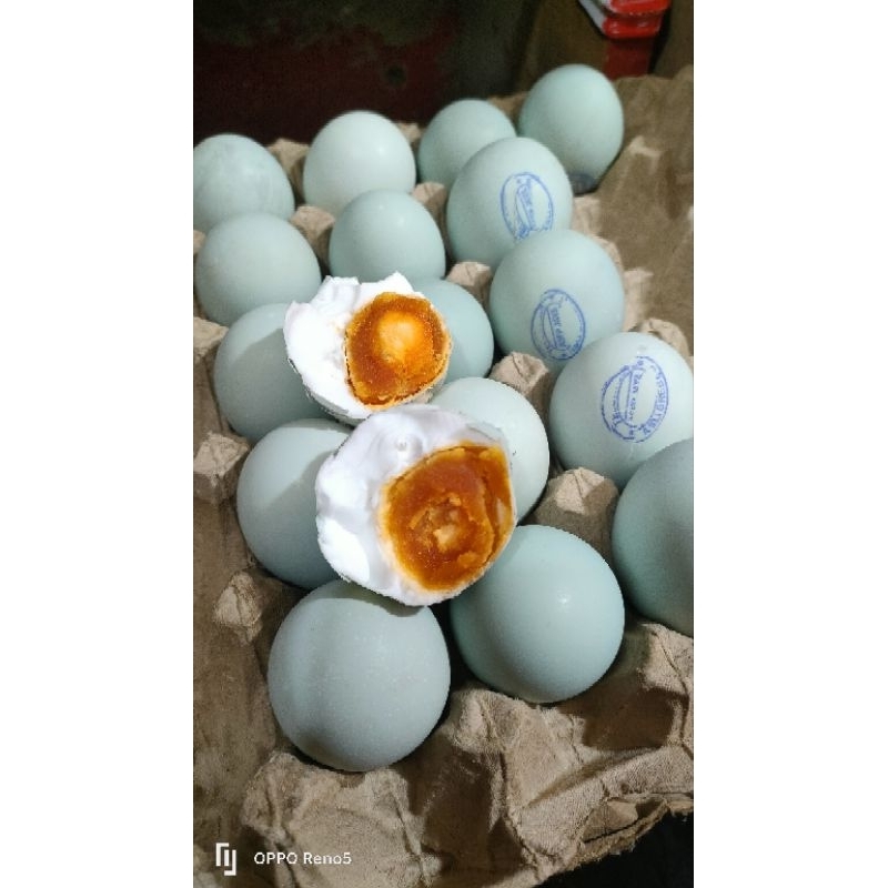 

TELUR ASIN MASIR PREMIUM 10 BUTIR