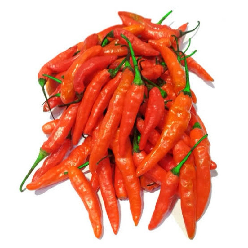 

cabe rawit merah ori fresh 1kg kualitas premium murah