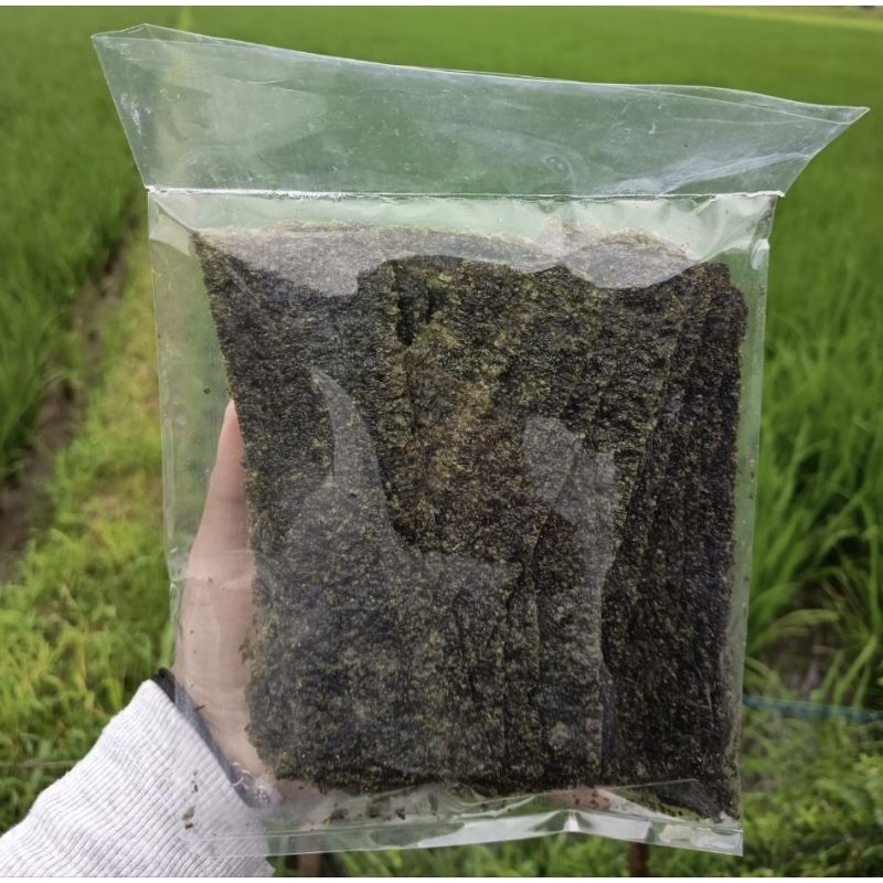 

Nori Rumput Laut Repack Kemasan 100 Gram