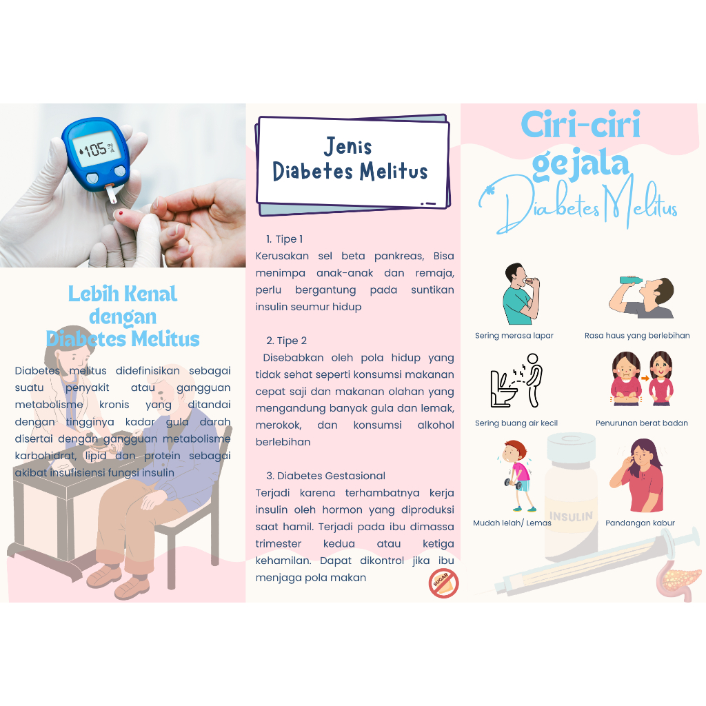 Leaflet diabetes melitus 1