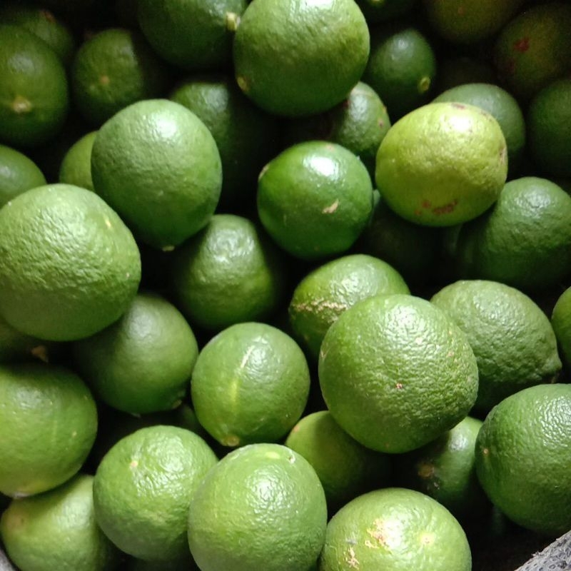 

jeruk lemon lokal-jeruk pecel-jeruk nipis(di petik dadakan,saat akan kirim)