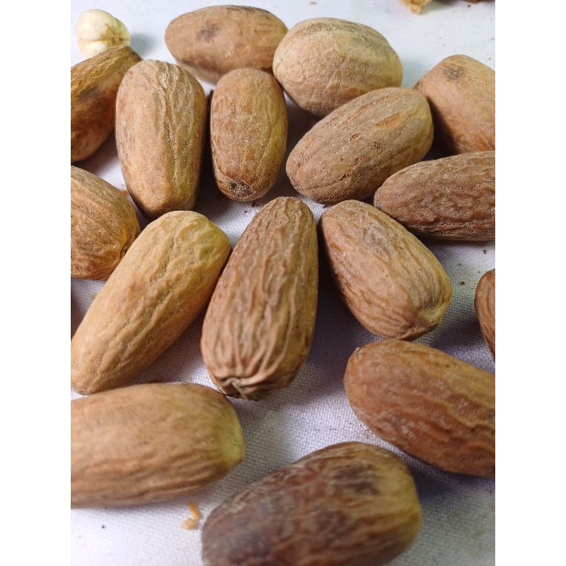 

Biji pala lonjong 100gr / biji pala lonjong utuh/ bumbu masak/rempah-rempah