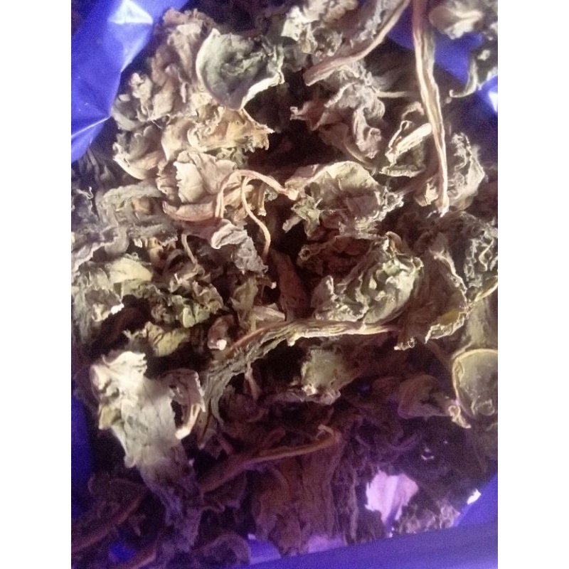 

daun kucubung kering 100 grm