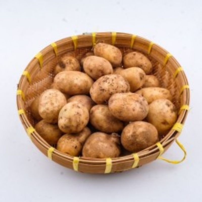 

JYOTI KENTANG AB TANGGUNG 1 KG