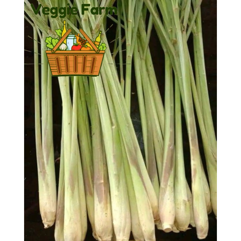 

Veggie Farm - Sereh PALING MURAH