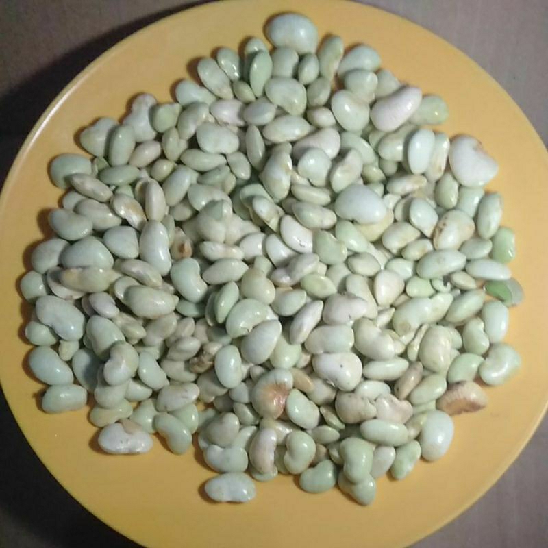 

SAYUR BIJI KORO KUPAS SEGAR