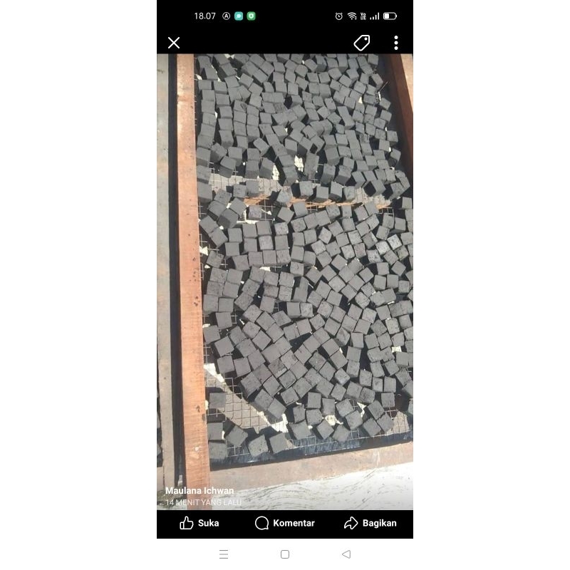 Briket arang batok kelapa