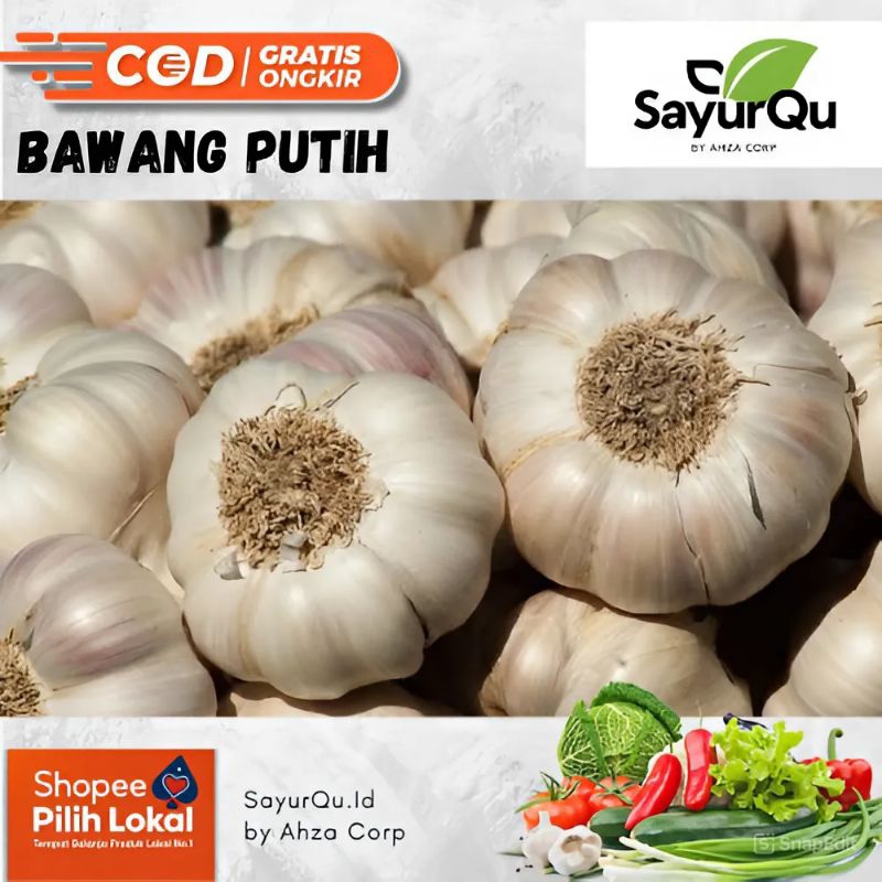 

Bawang Putih Fresh 1 kg