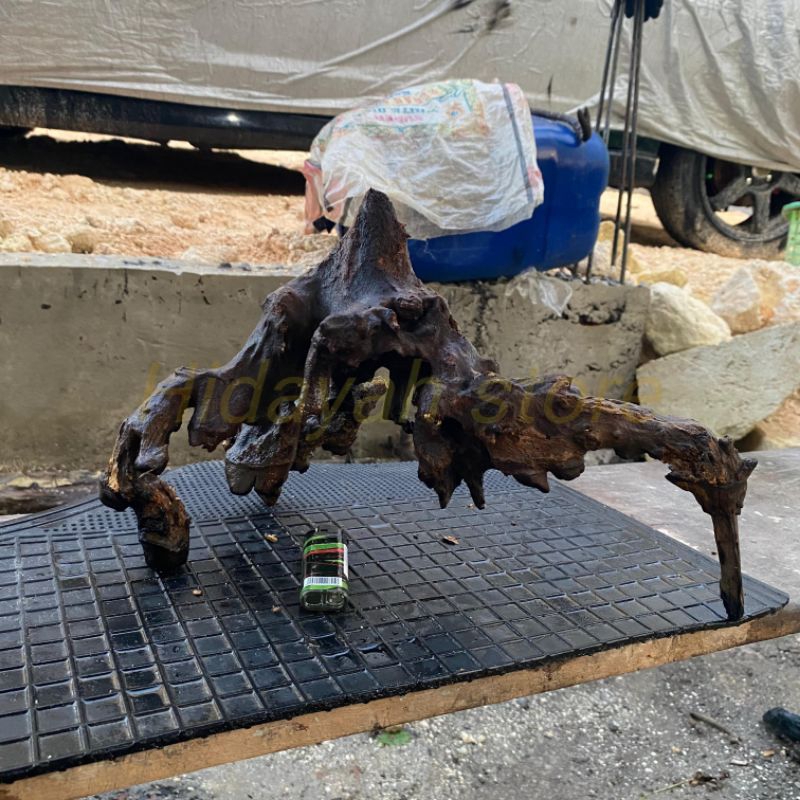 kayu rantek dekorasi akuarium aquascape size XL