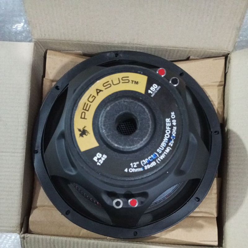 Pegasus spiker 12in 30cm Doble coil