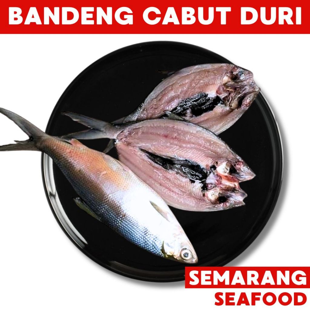 

Bandeng Tanpa Duri | Ikan Semarang | Ikan Segar Semarang | Ikan Fresh Semarang
