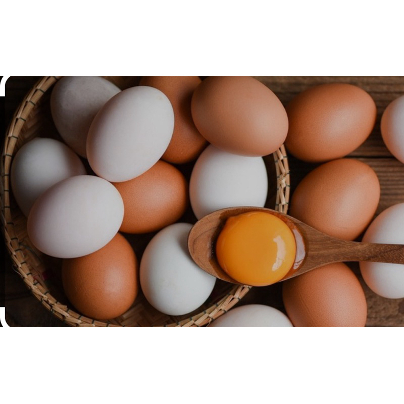 

telur ayam eropa 30 butir ukuran standar