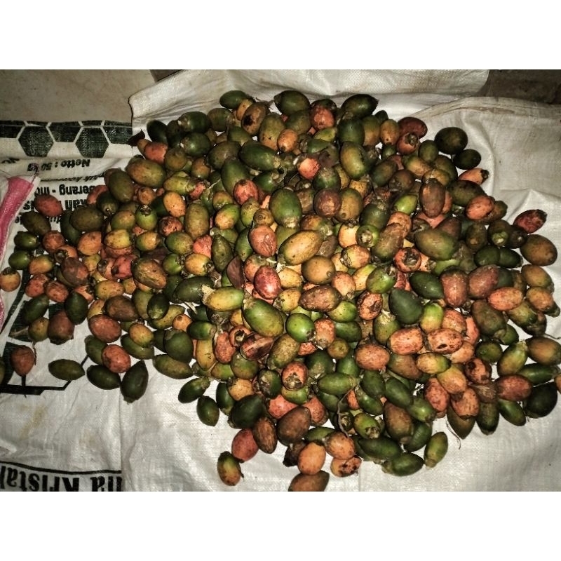 

Pinang Tua 1 kg 10.000