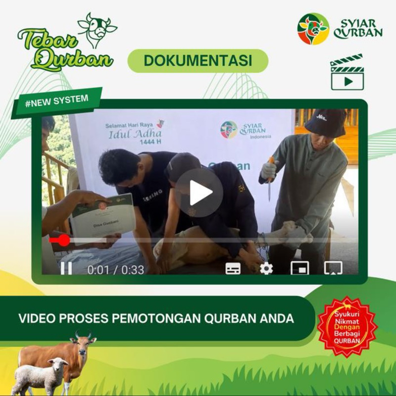 

AFGC Domba Kambing Qurban -+20Kg (18-23kg) Full Distribusi