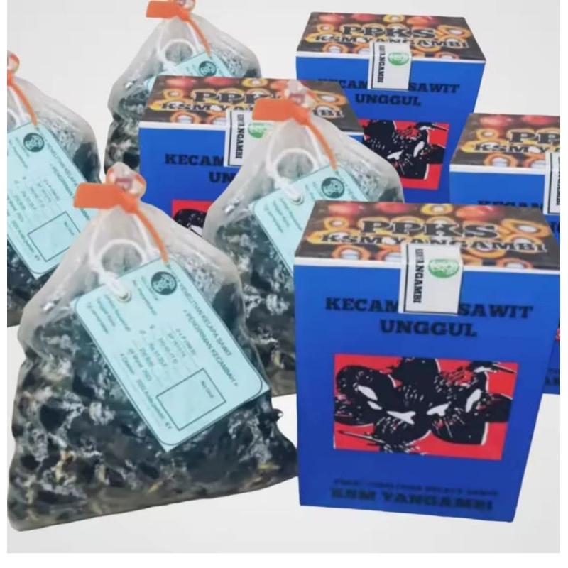 bibit sawit unggul asli ppks