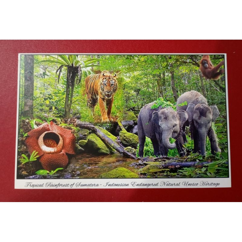 

KARTU POS TROPICAL RAINFOREST OF SUMATRA COLOURS OF INDONESIA POST CARD
