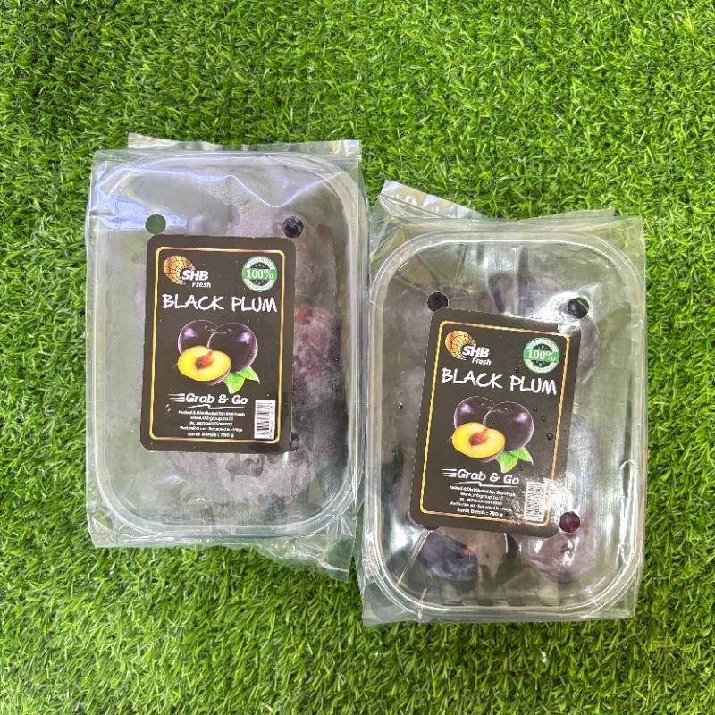 

black plum pack