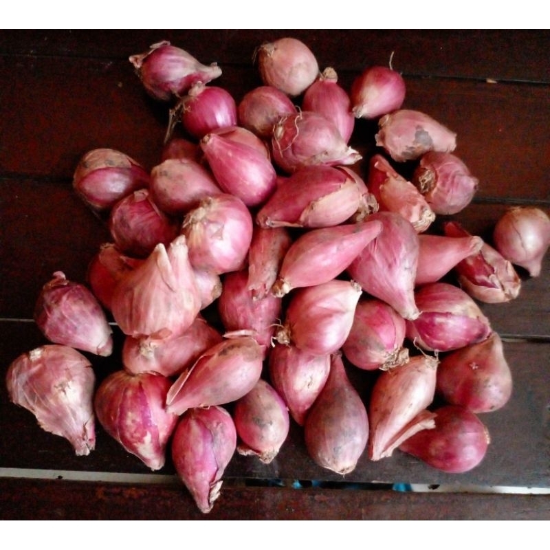

Bawang merah brebes