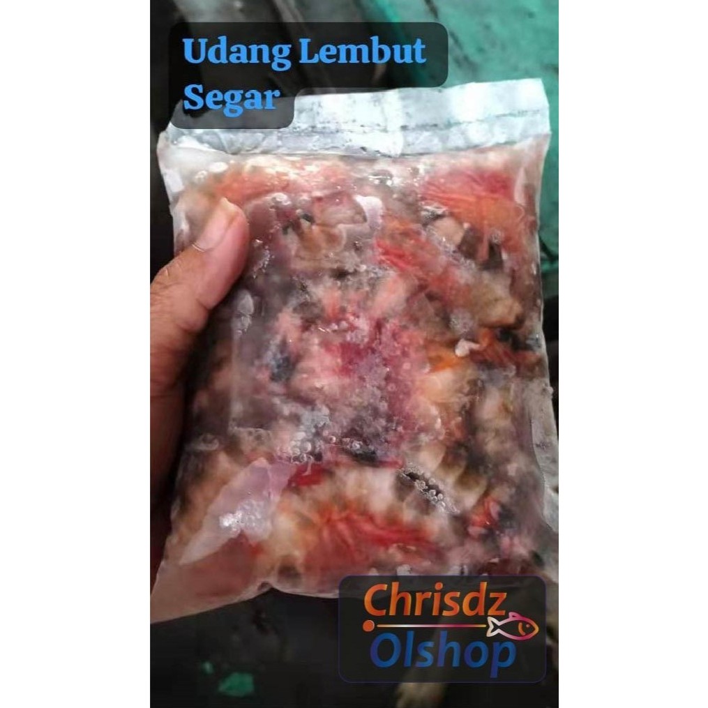 

Udang Beku Lembut Segar (500G ± )