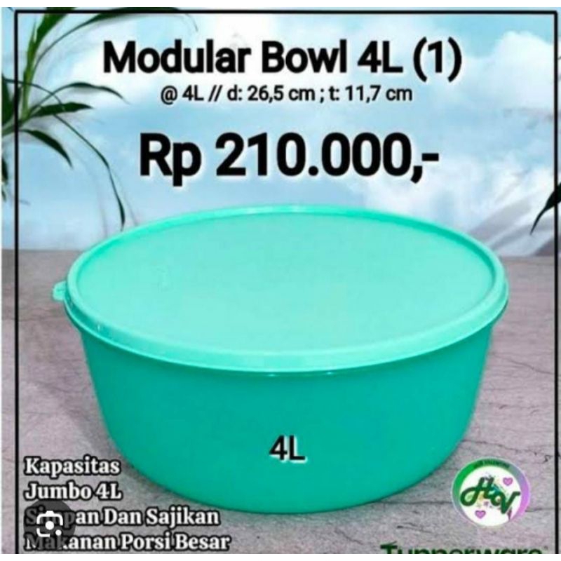 Tupperware Modular Bowl