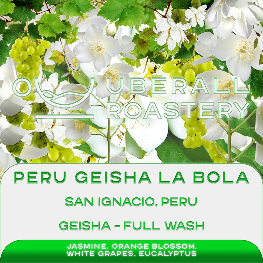 

Kopi Arabika Peru Geisha La Bola Full Wash, Roasted by Uberall Roastery