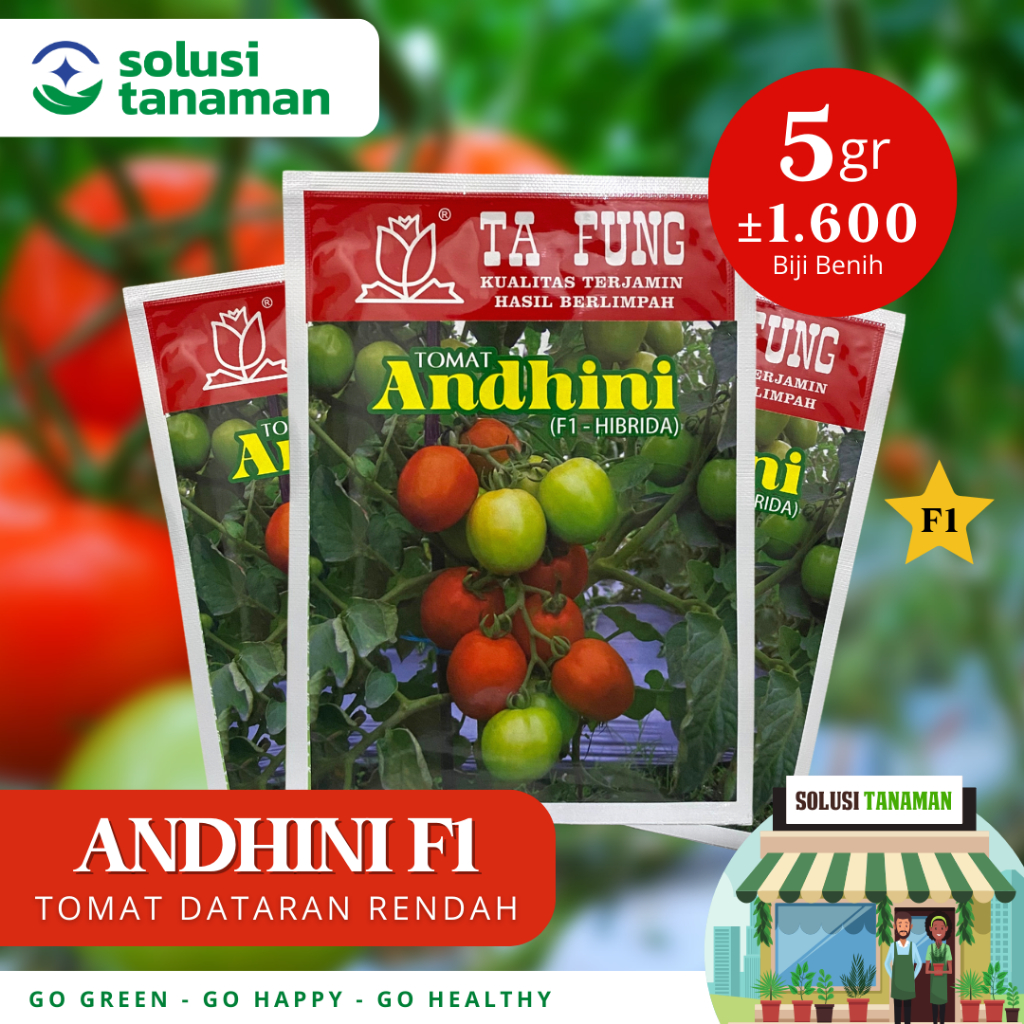 Benih Tomat Andhini F1 5gr (1.600 Biji) Dataran Rendah - Menengah Bibit Tomat Ta Fung Benih Tomat Ta