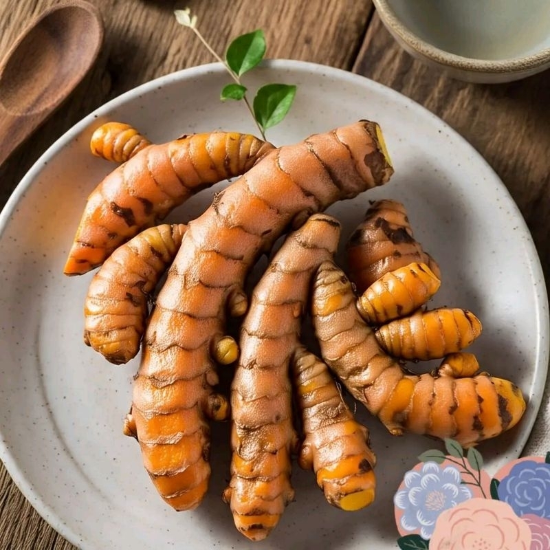

kunyit segar 1 kg kunir bumbu dapur obat herbal baru dipetik