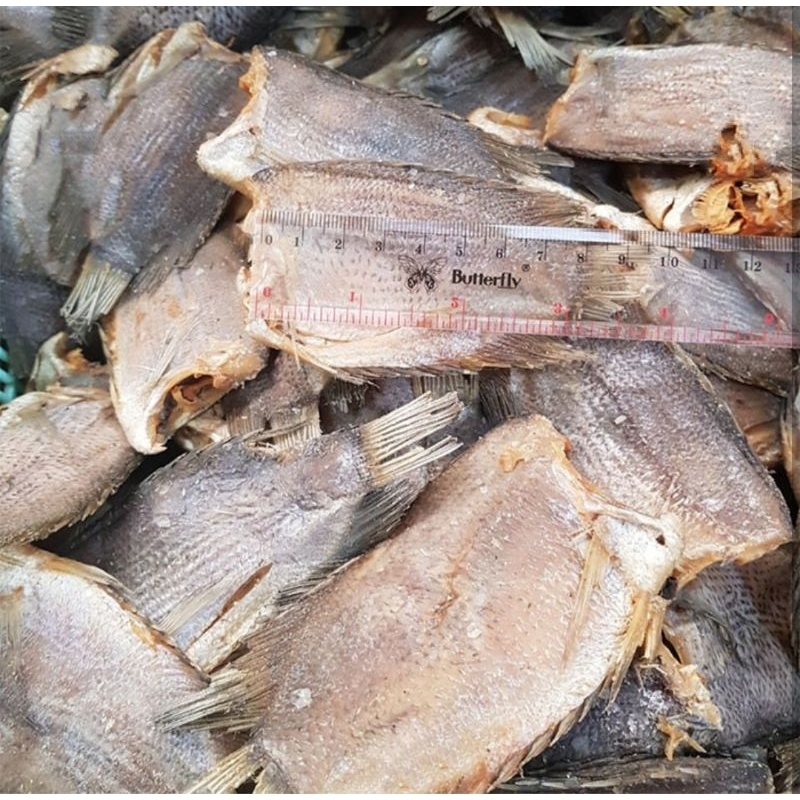 

Ikan Asin Sepat Sedang | Ikan Asin Sepat