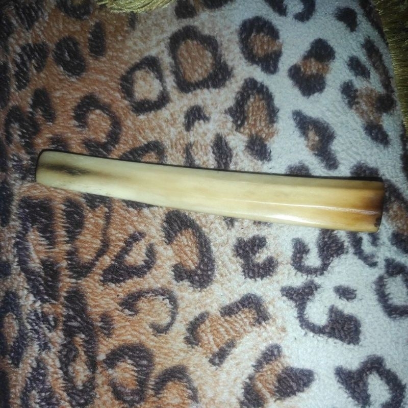 once tulang sapi import