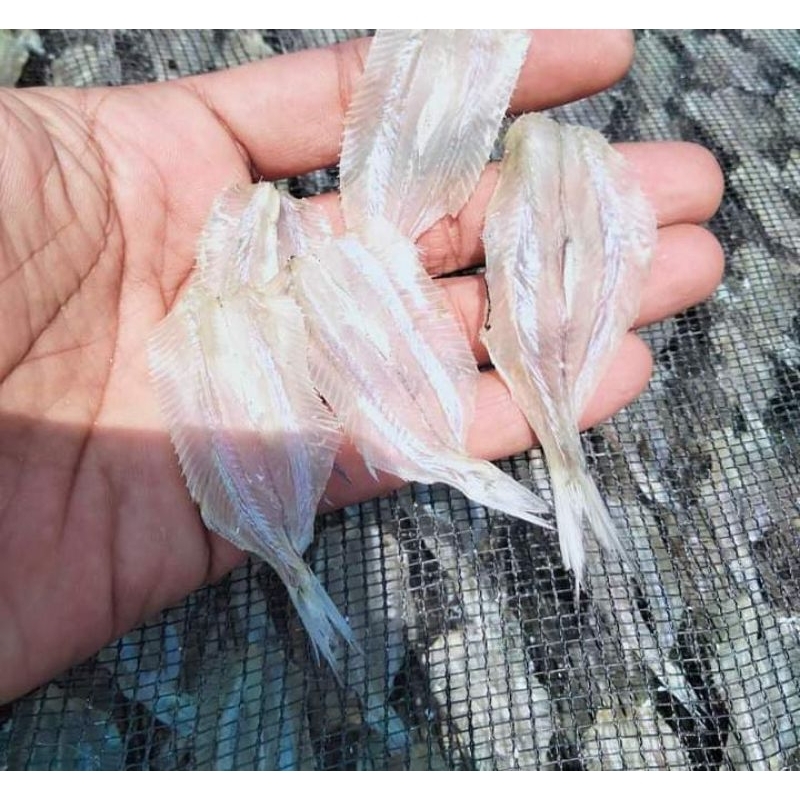 

Ikan Kapasan Tawar Tanpa Tulang 500Grm