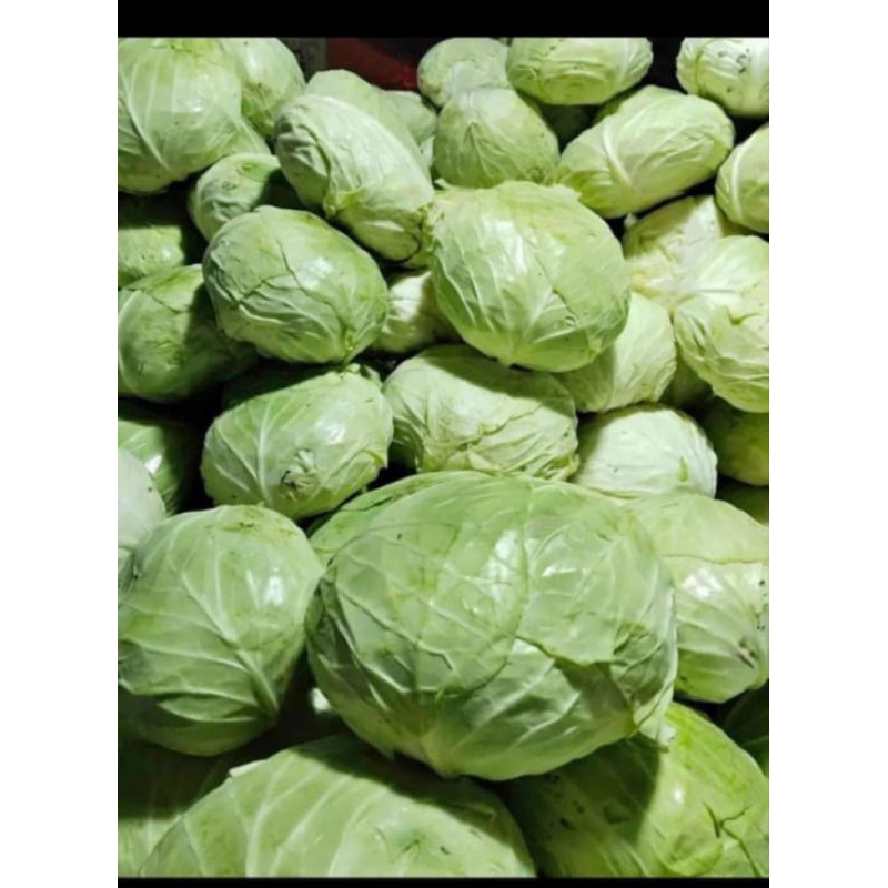 

SAYUR GUBIS 1 KG