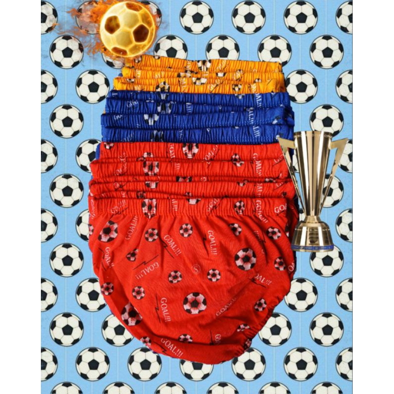 12 pcs celana dalam anak laki laki