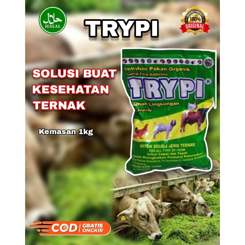 Trypi Solusi ternak gemuk dan pencegahan penyakit
