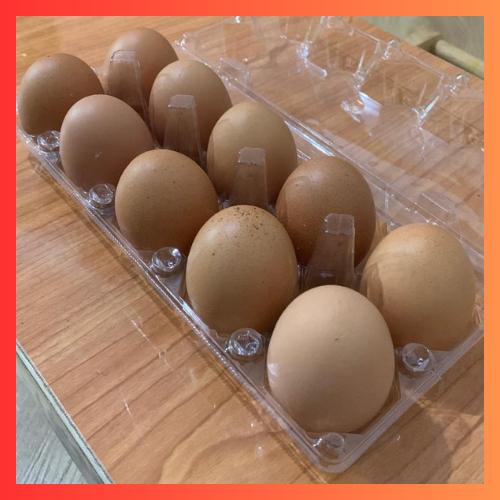 

Telur Ayam Omega 3 Fresh Isi 10