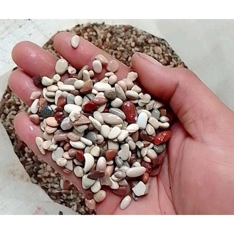 5kg batu pasir pancawarna/Batu pancawarna/Batu hias/Batu aquarium/Batu sikat/Batu aquarium/Batu hias